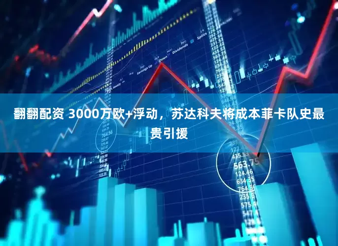 翻翻配资 3000万欧+浮动，苏达科夫将成本菲卡队史最贵引援