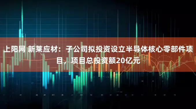 上阳网 新莱应材：子公司拟投资设立半导体核心零部件项目，项目总投资额20亿元